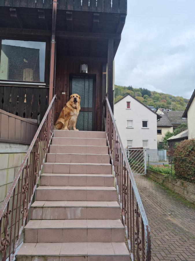 Villa Main Zu Hause Eichenbuhl  Exterior foto