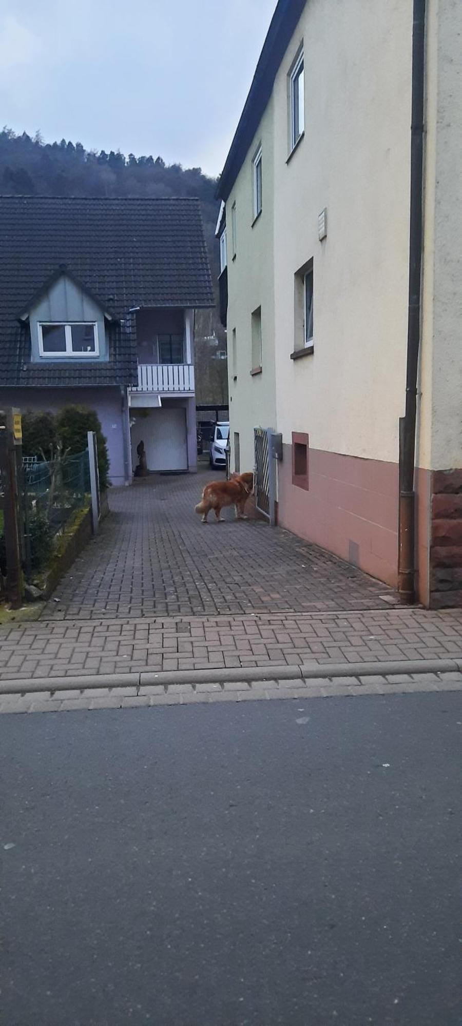 Villa Main Zu Hause Eichenbuhl  Exterior foto
